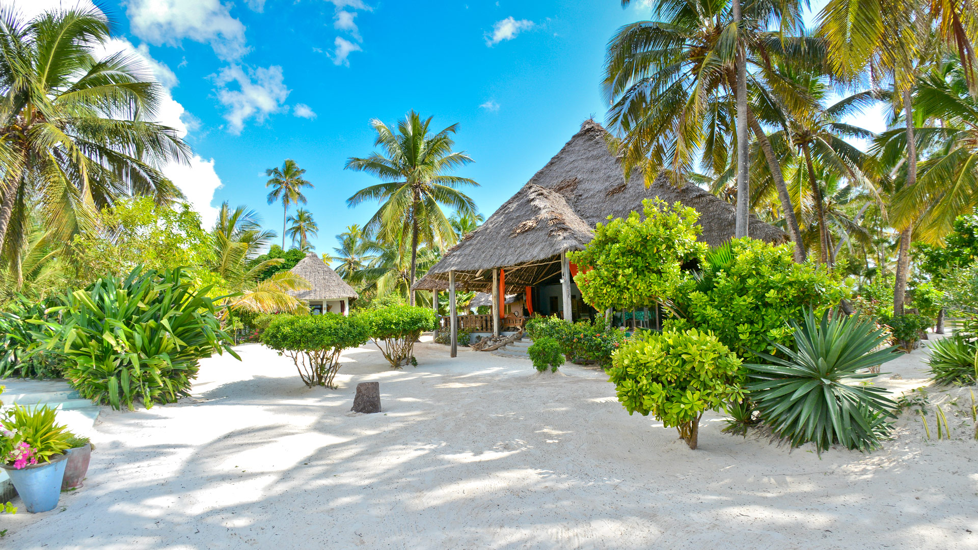 Echo Beach - Eco & Culture Tours